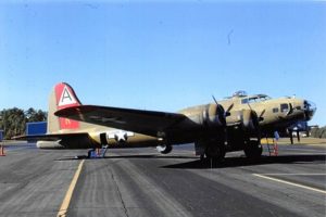 B17 Warbird